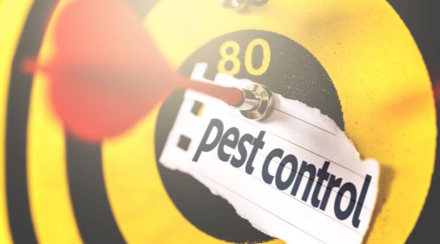 Professional residential pest control services in Tampa